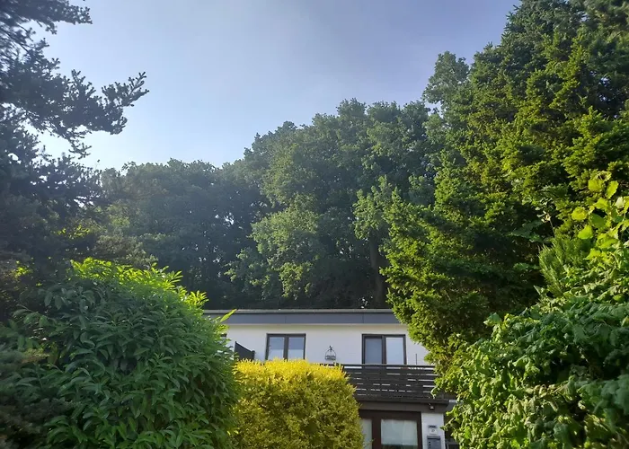 Apartment Am Waldrand 1 Person Nichtraucher Mit Einkaufsservice
