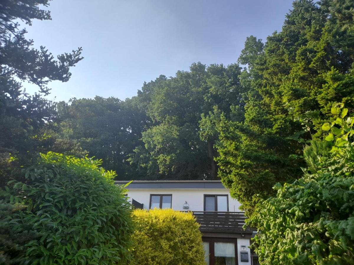 Apartment Am Waldrand 1 Person Nichtraucher Mit Einkaufsservice